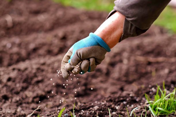 fertilizer and seedling industry and agriculture background