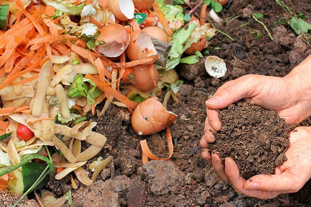 Hands are holding composted earth.