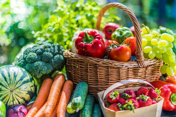 Variety of fresh organic vegetables and fruits in the garden. Balanced diet